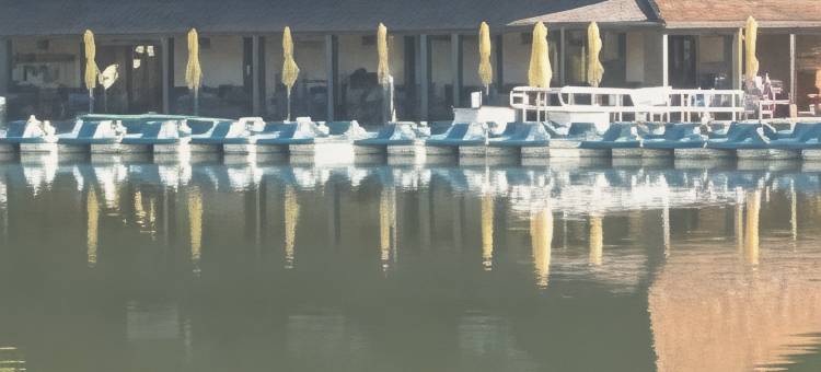 南圣路易斯55号洲际公路希尔顿欢朋旅馆&套房酒店(Hampton Inn & Suites St. Louis/South I-55)图片