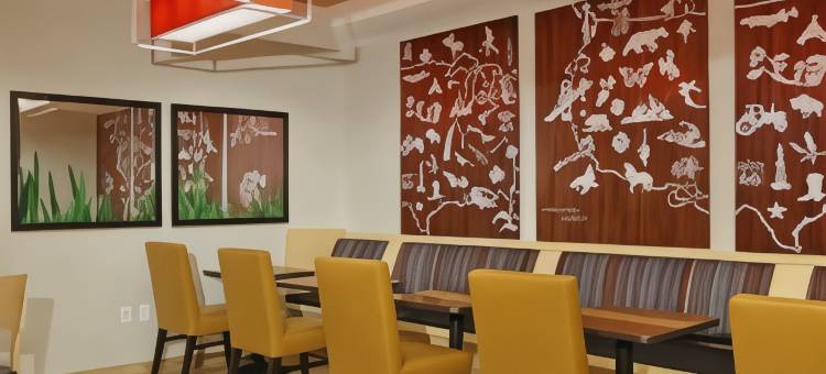 新奥尔良哈维/西岸万豪TownePlace套房酒店(TownePlace Suites New Orleans Harvey/West Bank)图片