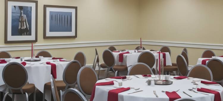 福朋喜来登喜來登酒店-坦帕机场西岸(Four Points by Sheraton Suites Tampa Airport Westshore)图片