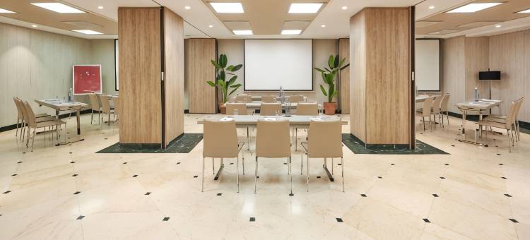 阿瓦斯卡尔NH典藏酒店(NH Collection Madrid Abascal)图片