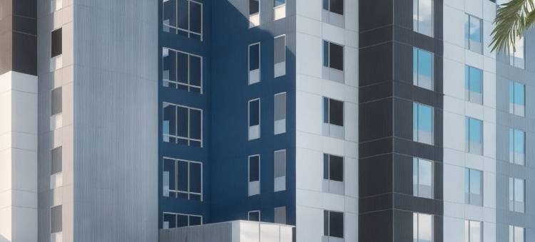 TownePlace Suites Tampa Clearwater图片