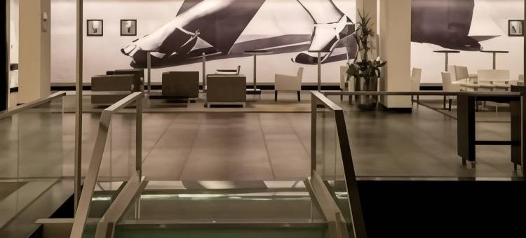 布宜诺斯艾利斯诺富特酒店(Novotel Buenos Aires)图片