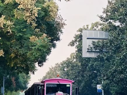 橘洲慢行，桂花香中解鎖秋日環洲路線