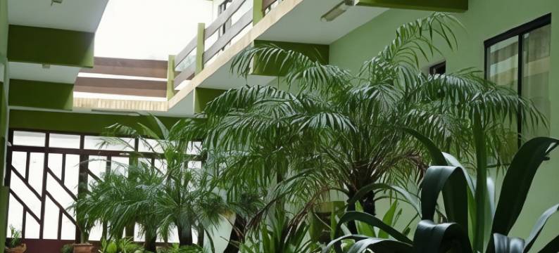 普莱亚多斯阿莫雷斯旅馆(Pousada Praia Dos Amores)图片