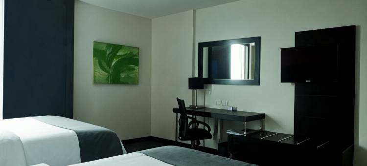 托卢卡加莱里亚斯梅特佩克智选假日酒店(Holiday Inn Express TOLUCA GALERIAS METEPEC by IHG)图片