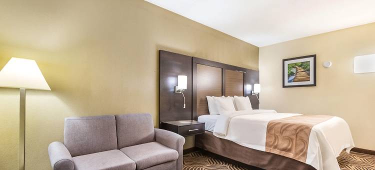 弗洛伦斯辛辛那提南凯艺套房酒店(Quality Inn & Suites Florence - Cincinnati South)图片