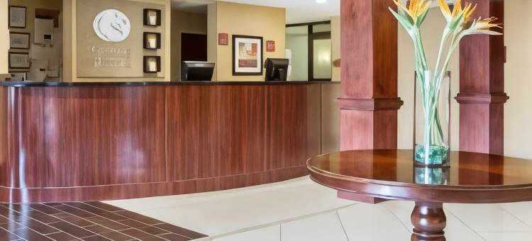 舒适套房酒店-亚特兰大机场(Comfort Suites Atlanta Airport)图片