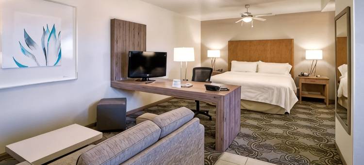 Holiday Inn & Suites 奇瓦瓦(Holiday Inn & Suites CHIHUAHUA EXPO by IHG)图片