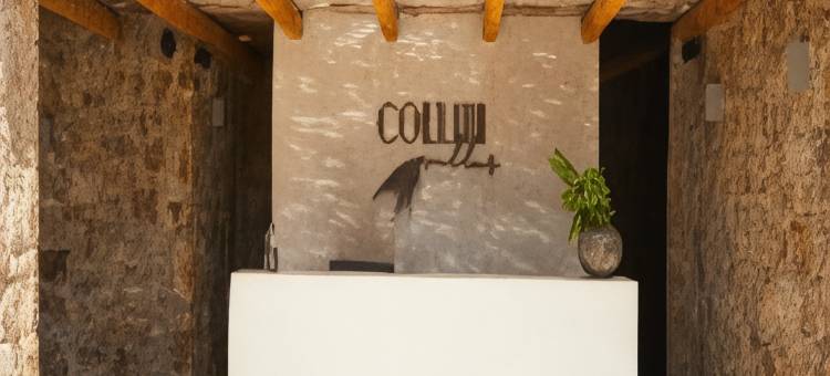 米科诺斯科利尼酒店(Collini Hotel Mykonos)图片