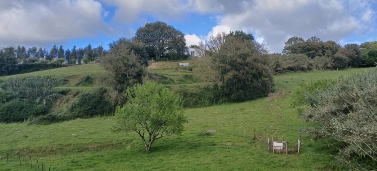 Quinta da pera rocha图片