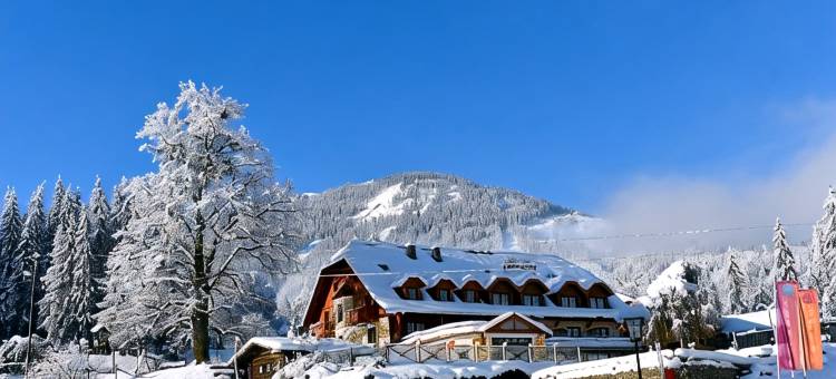 维达莱蓝道尔霍夫酒店(Hotel Vitaler Landauerhof)图片