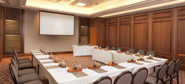 桑顿太阳与塔(Sandton Sun & Towers)图片