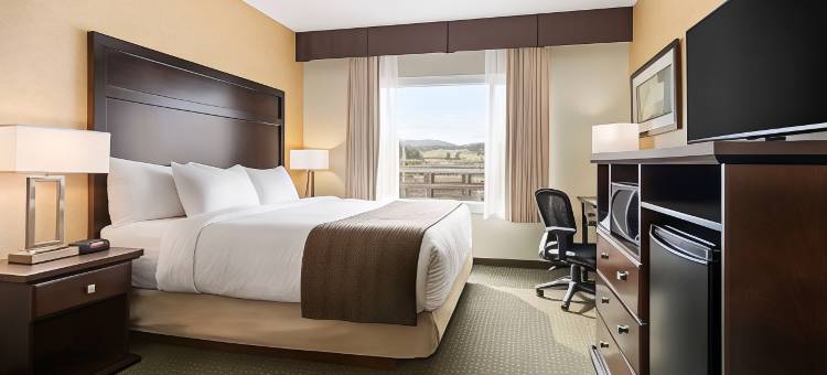 克兰布鲁克温德姆戴斯酒店及会议中心(Days Inn by Wyndham Cranbrook Conference Centre)图片