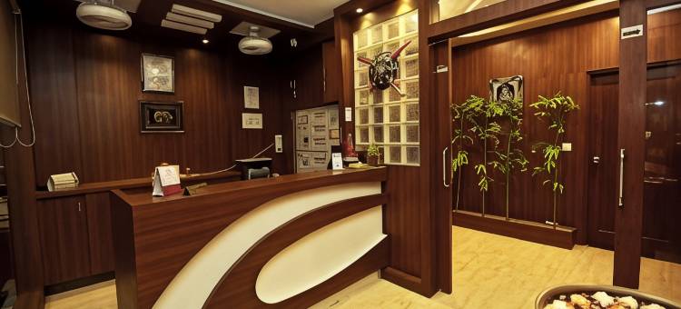 向日葵酒店(Hotel Sunflower Udaipur)图片