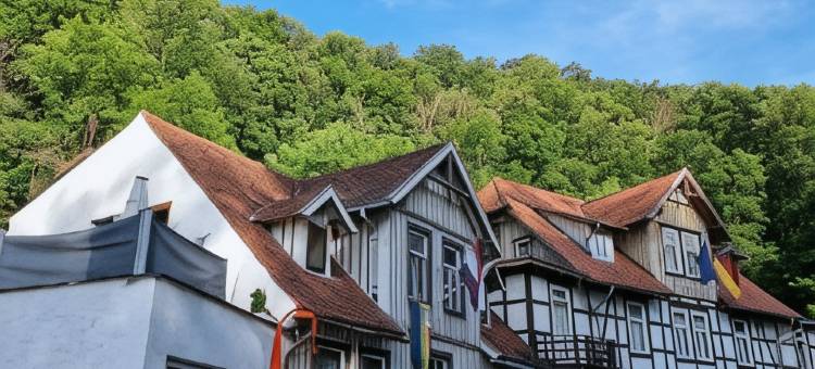 祖尔鲁普博得酒店(Hotel Zur Luppbode)图片