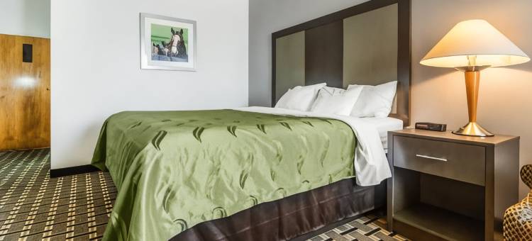 列克星敦东汉堡希尔顿Spark酒店(Spark by Hilton Lexington Hamburg)图片