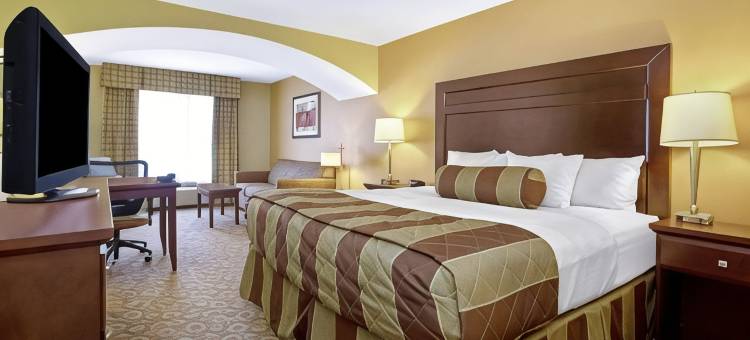 迪金森拉昆塔温德姆套房酒店(La Quinta Inn & Suites by Wyndham Dickinson)图片