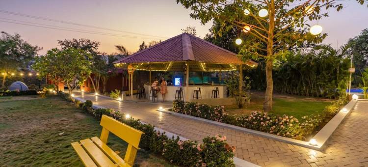 盐科拉德酒店(Zostel Kolad)图片