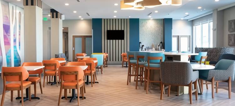 圣安东尼奥海洋世界/LAFB拉昆塔温德姆套房酒店(La Quinta Inn & Suites by Wyndham San Antonio Seaworld/Lafb)图片