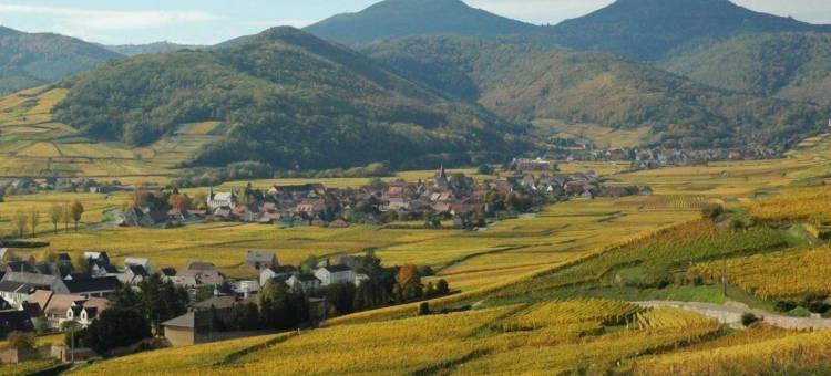 法斯特酒店(Fast Hotel Colmar Houssen)图片