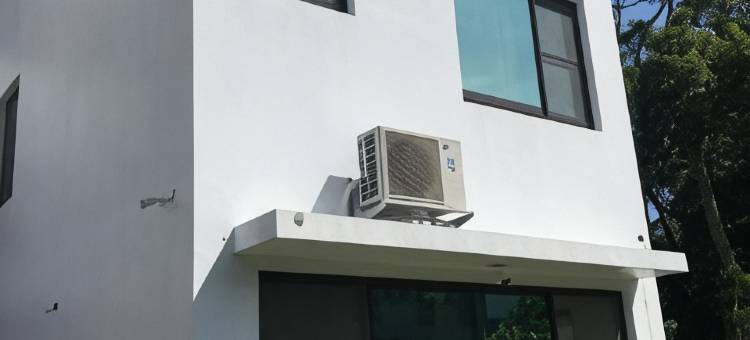 小树的家咖啡民宿图片