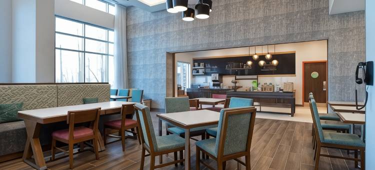 加拿大安大略渥太华西欢朋套房酒店(Hampton Inn & Suites by Hilton Ottawa West)图片