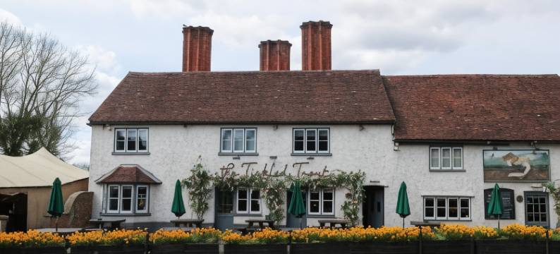 提克特洛特宾馆(The Tickled Trout)图片