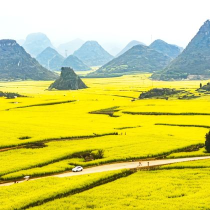 云南昆明+东川红土地+元谋+弥勒+罗平+兴义+广南+丘北+蒙自+元阳+建水+抚仙湖9日8晚跟团游