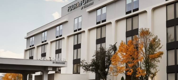 芝加哥韦斯贾斯特 - 橡树溪福朋喜来登酒店(Four Points by Sheraton Chicago Westchester/Oak Brook)图片