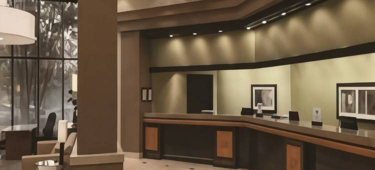 伯明翰希尔顿安泊酒店(Embassy Suites by Hilton Birmingham)图片