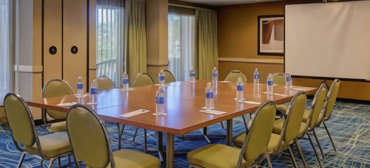 博卡－拉顿万豪SpringHill酒店(SpringHill Suites Boca Raton)图片