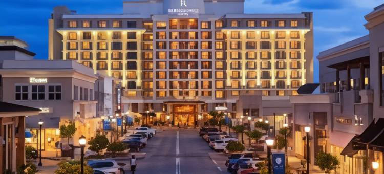 万丽罗利北山酒店(Renaissance Raleigh North Hills Hotel)图片