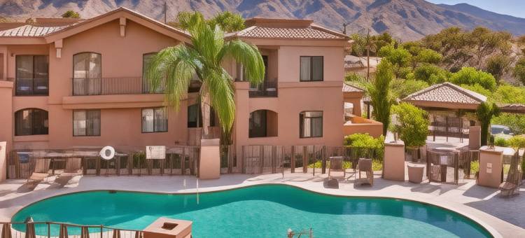 图森帕洛马村希尔顿安泊套房酒店(Embassy Suites by Hilton Tucson Paloma Village)图片