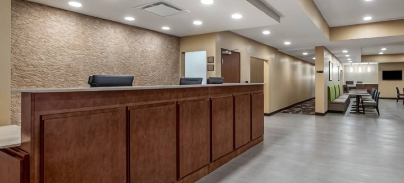 埃姆斯爱荷华州立大学校园附近舒适套房酒店(Comfort Inn and Suites Ames Near Isu Campus)图片