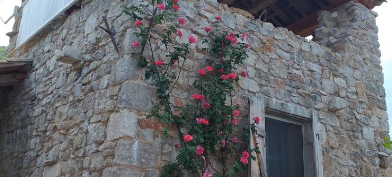 薰衣草之家(House Lavanda)图片