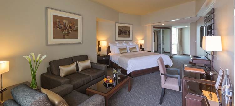 海豚会议中心酒店(Delfines Hotel & Convention Center)图片