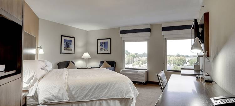 明尼阿波利斯机场美国购物中心福朋喜来登酒店(Four Points by Sheraton Mall of America Minneapolis Airport)图片