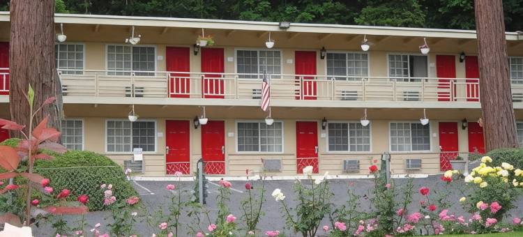 圣克鲁兹山凯艺套房酒店(Quality Inn & Suites Santa Cruz Mountains)图片