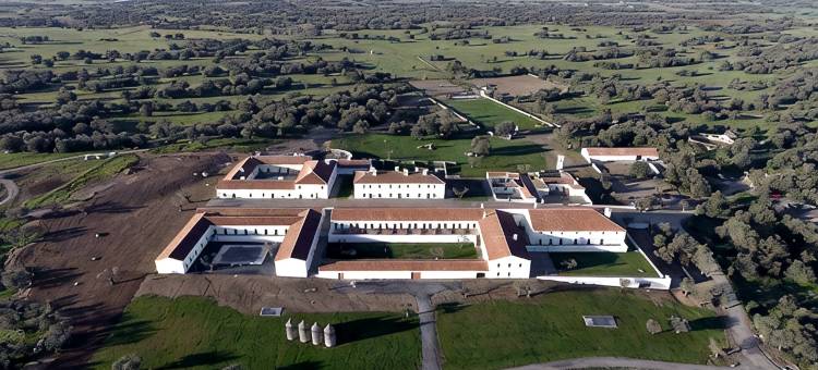圣洛伦索巴洛卡酒店(São Lourenço do Barrocal)图片