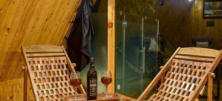 Himalayan Manor A-Frame Cabin图片