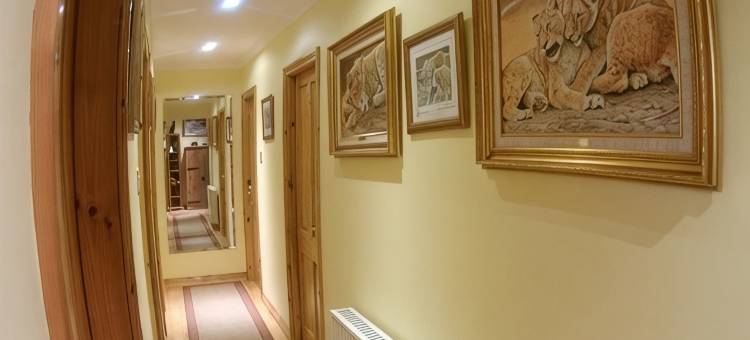 克利夫顿小屋(Clifton Cottage B&B)图片