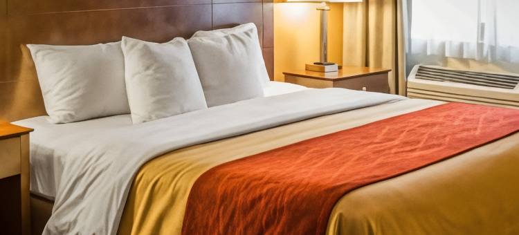 凯艺套房酒店(Quality Inn & Suites)图片