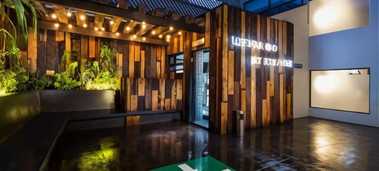 Hotel MX aeropuerto CDMX, Trademark Collection by Wyndham图片
