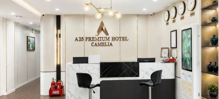 A25酒店-12号胡志明街(A25 Premium Hotel - 12 Pho Hue)图片