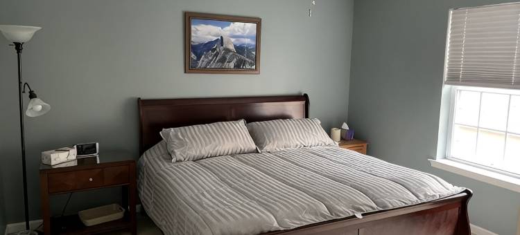 马斯托普-大熊-拉克瓦克森-豪华四卧室-游戏室木屋(Masthope-Big Bear-Lackawaxen-Luxury 4 Bedroom-Game Room)图片