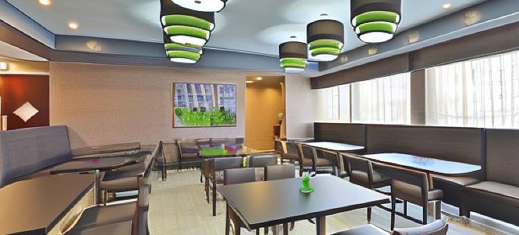 艾尔克格罗夫村奥黑尔温德姆花园酒店(Wyndham Garden Elk Grove Village/O'Hare)图片