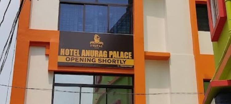 阿努拉格宫酒店(Hotel Anurag Palace)图片