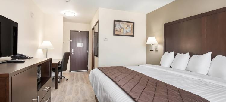 伊克诺旅馆 乌马蒂拉 哥伦比亚河区(Econo Lodge Umatilla Columbia River Area)图片