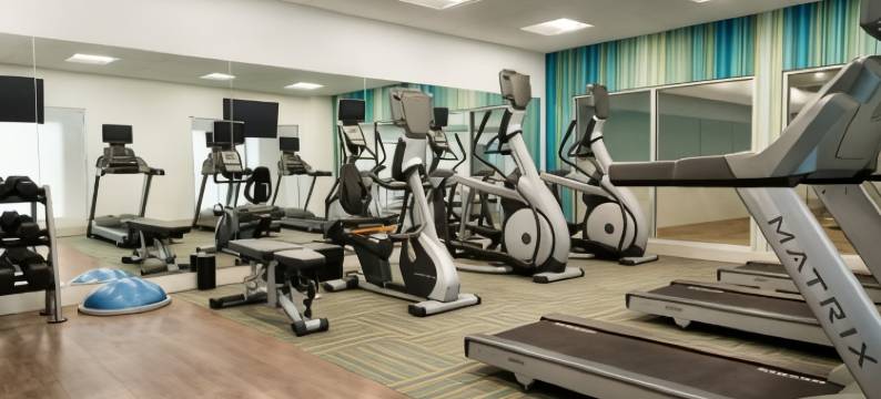 洲际智选假日套房酒店萨凡纳西-查塔姆大道(Holiday Inn Express & Suites SAVANNAH W - CHATHAM PARKWAY by IHG)图片