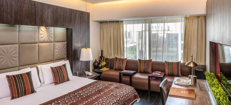 新德里公园酒店(The Park New Delhi)图片